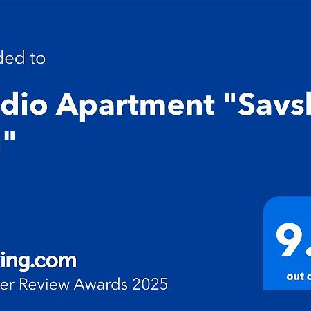 Studio Apartment "Savski Trg" Bělehrad Exteriér fotografie